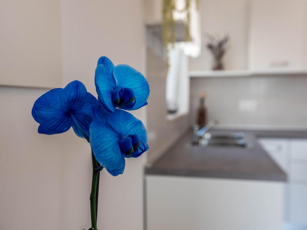 Apartment Antonio Ližnjan Εξωτερικό φωτογραφία